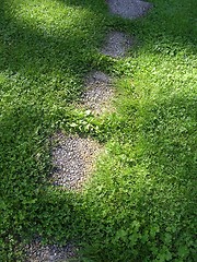 Image showing Stone path in the green grass