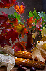 Image showing Autumn Still Life