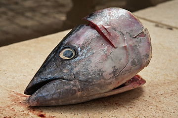 Image showing fish head