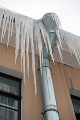 Image showing icicles