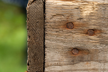 Image showing Wood texture with rusty nails
