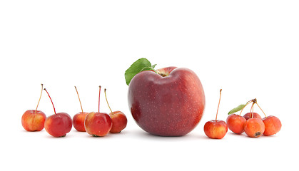 Image showing Big and small apples on white background