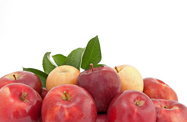 Image showing Variety of red and yellow apples with leaves