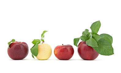 Image showing Row of apples with leaves on white background