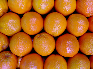 Image showing Orange