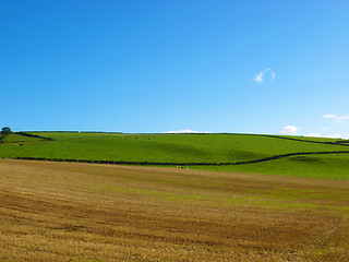 Image showing Cardross hill