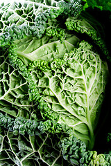 Image showing fresh savoy cabbage