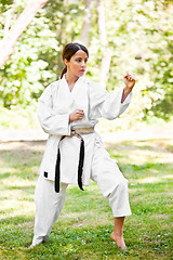 Image showing Asian practicing karate