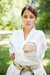 Image showing Asian practicing karate