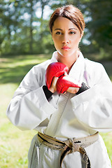 Image showing Asian practicing karate