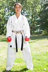 Image showing Asian practicing karate