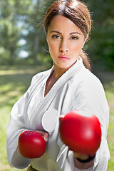 Image showing Asian practicing karate