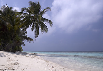 Image showing Tropical island beach