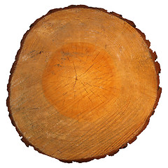 Image showing Wood