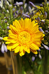 Image showing Flowerwheel