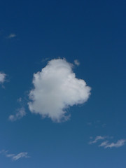 Image showing Lost Cloud