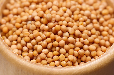 Image showing Mustard seeds