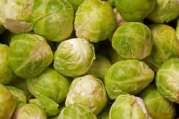 Image showing Brussels sprouts