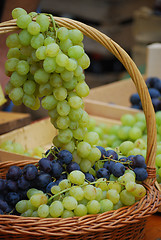 Image showing Wine grapes in basket