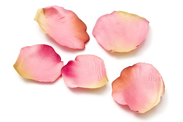 Image showing Scattered flower petals isolated on white 