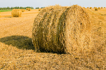 Image showing Straw stack