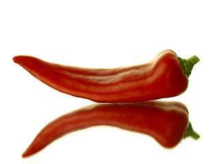 Image showing Paprika