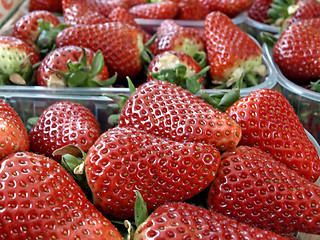 Image showing Erdbeeren