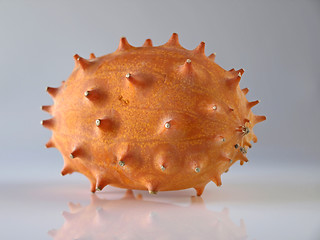 Image showing Kiwano