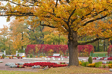 Image showing Autumn park Kadriorg, Tallinn