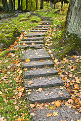 Image showing Stone ladder in autumn park Kadriorg, Tallinn