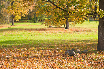 Image showing Autumn landscape