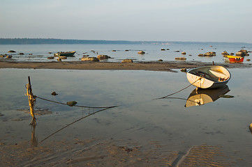 Image showing Morning on the bank of the Baltic sea