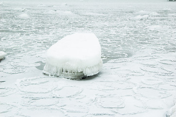 Image showing Seacoast in a frosty fog