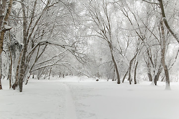 Image showing Winter park