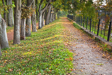 Image showing Path in autumn park