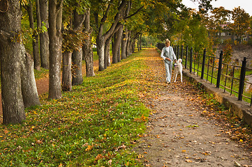 Image showing Path in autumn park