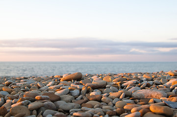 Image showing The stones shined with the sunset sun on a beach
