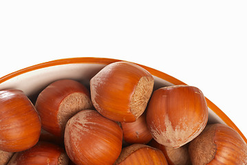 Image showing Hazelnuts