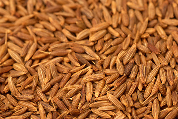 Image showing Cumin seeds