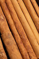 Image showing Cinnamon sticks