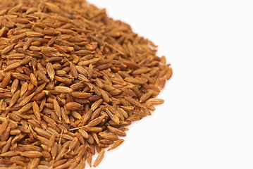 Image showing Cumin seeds