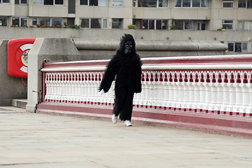 Image showing Single Runner At The 2010 Great Gorilla Run In Central London 26th September 2010 
