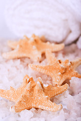 Image showing seasalt, towel and starfish