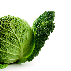 Image showing fresh savoy cabbage