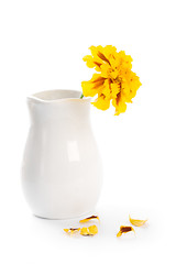Image showing marigold flower in vase