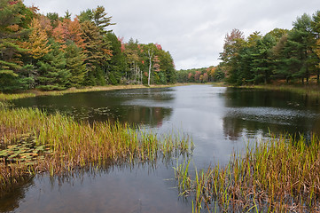 Image showing Autumn lake