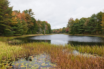 Image showing Autumn lake