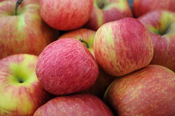 Image showing closeup Apples