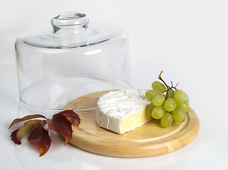 Image showing Cheese Cover