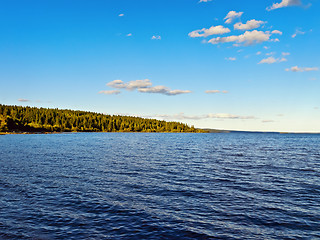 Image showing lake and forest